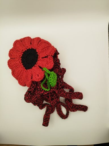 Aster'à'sac rouge et noir